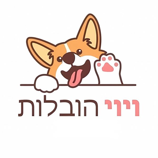 ויוי הובלות